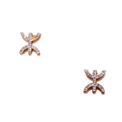 Boucles d'oreilles acier...