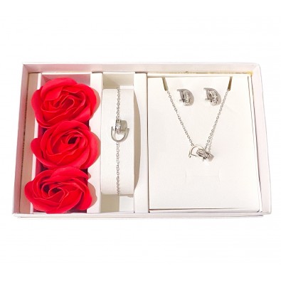 Coffret parure bijoux acier bracelet collier boucles CPA003D 2