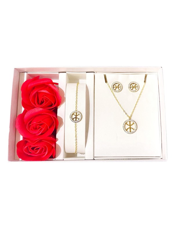Coffret Parure bijoux acier bracelet collier boucles CPA011D