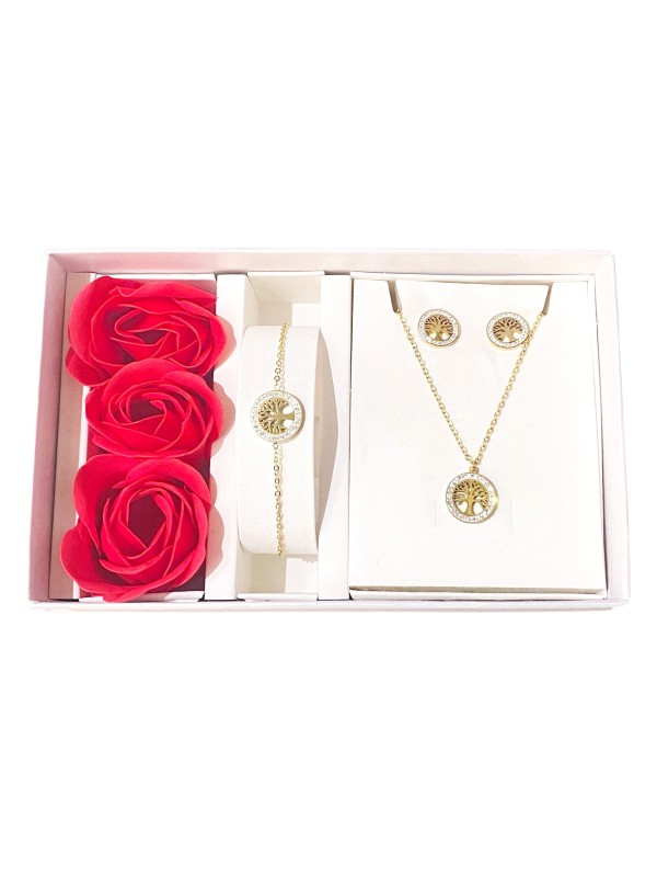 Coffret Parure bijoux acier bracelet collier boucles CPA013D