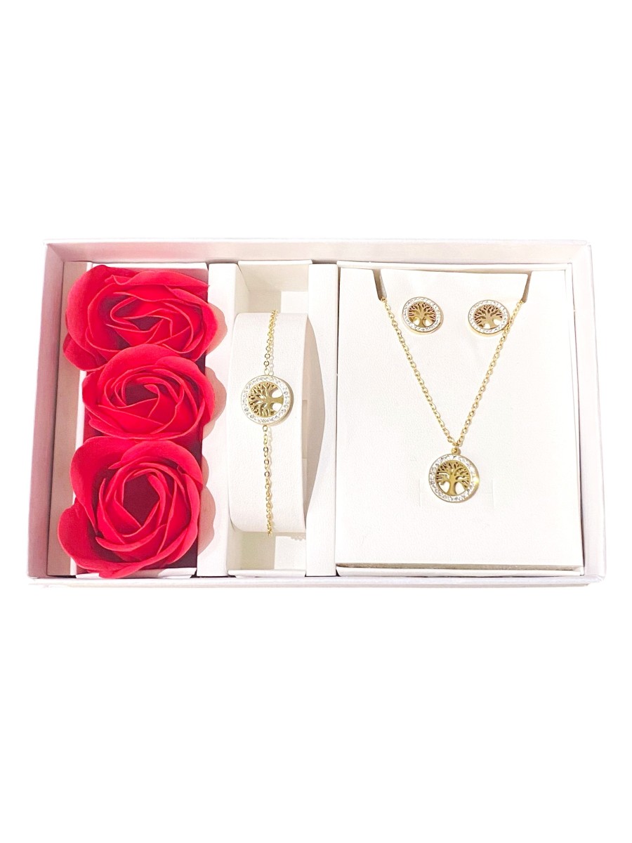 Coffret Parure bijoux acier bracelet collier boucles CPA013D