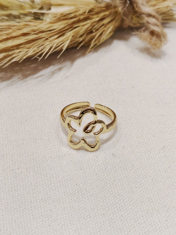 Bague réglable en acier inoxydable R021