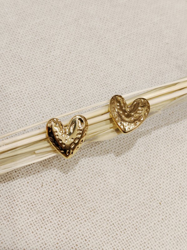 Boucles d'oreilles acier inoxydable E004