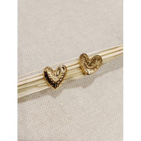Boucles d'oreilles acier inoxydable E004
