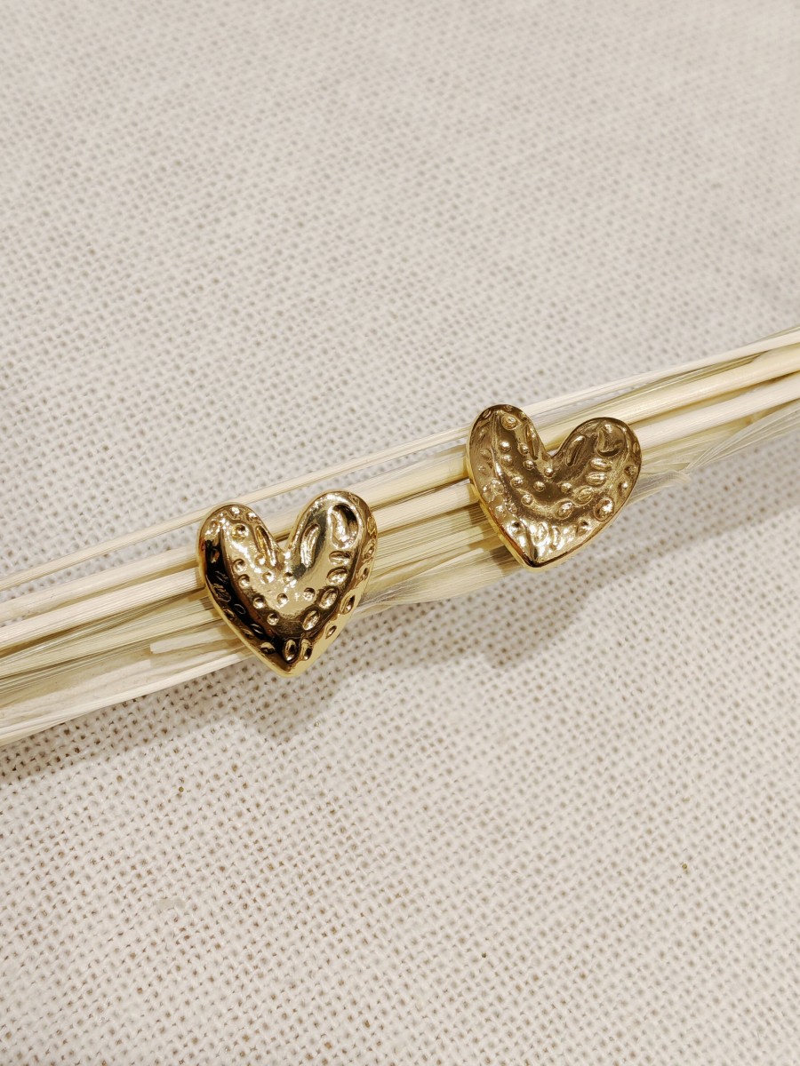 Boucles d'oreilles acier inoxydable E004