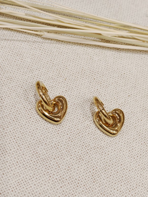 Boucles d'oreilles acier inoxydable E009
