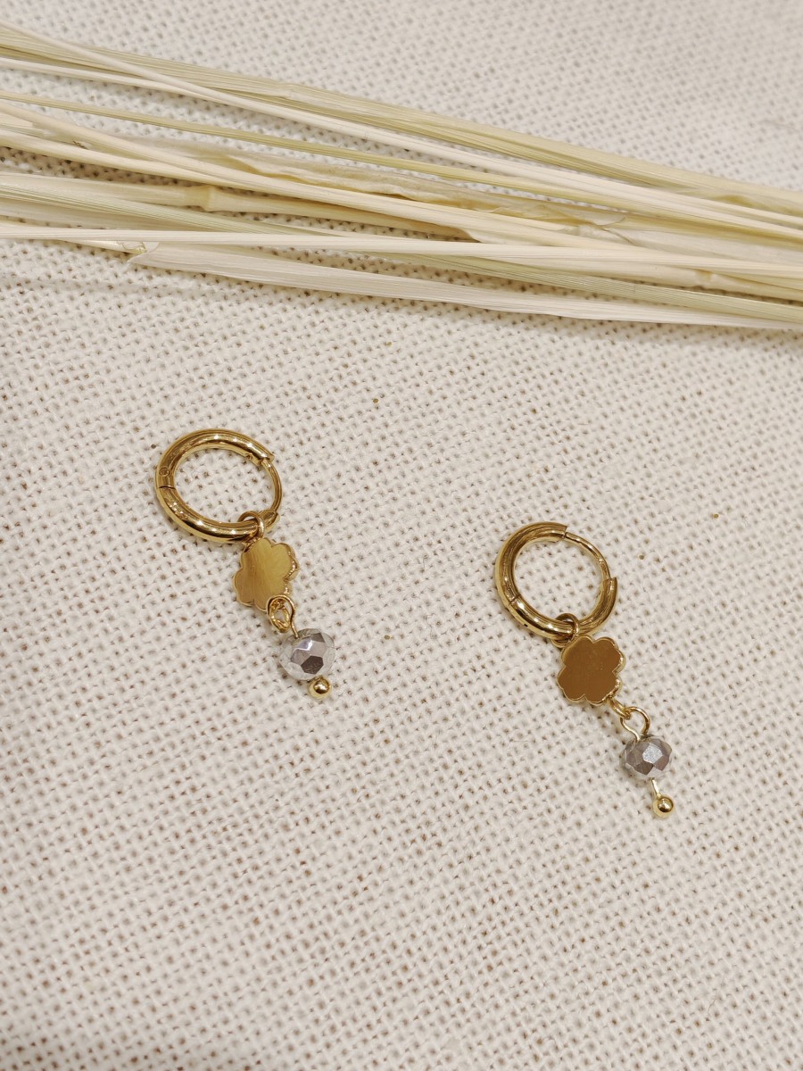 Boucles d'oreilles acier inoxydable E011