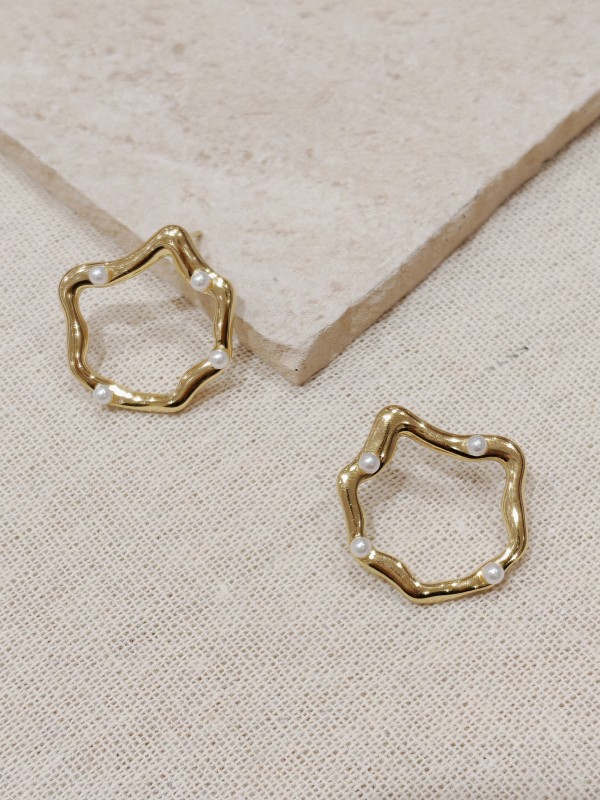 Boucles d'oreilles acier inoxydable E019