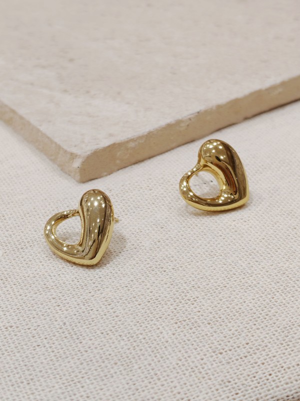 Boucles d'oreilles acier inoxydable E023