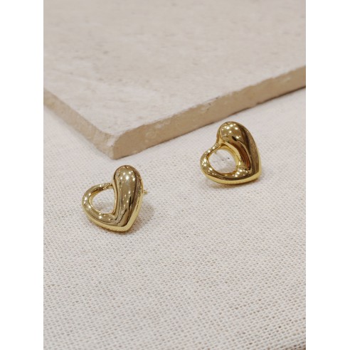Boucles d'oreilles acier inoxydable E023
