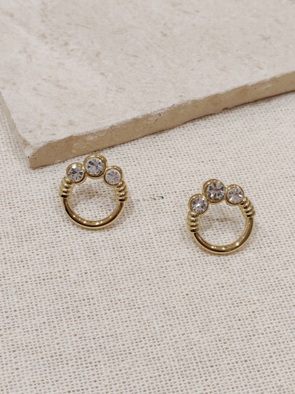 Boucles d'oreilles acier inoxydable E029