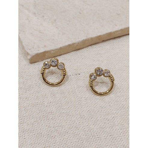 Boucles d'oreilles acier inoxydable E029