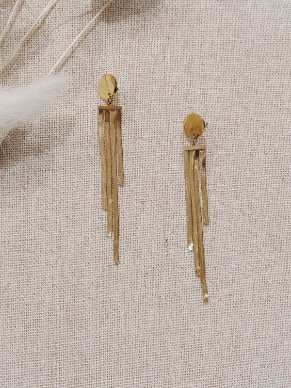 Boucles d'oreilles acier inoxydable E038