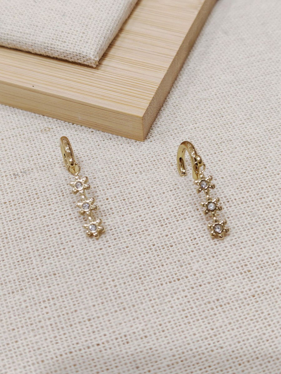 Boucles d'oreilles acier inoxydable E052