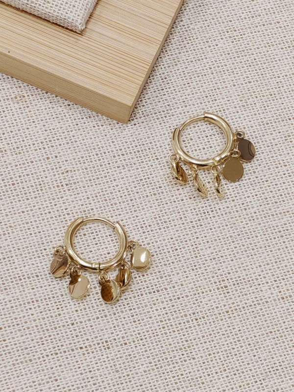 Boucles d'oreilles acier inoxydable E056