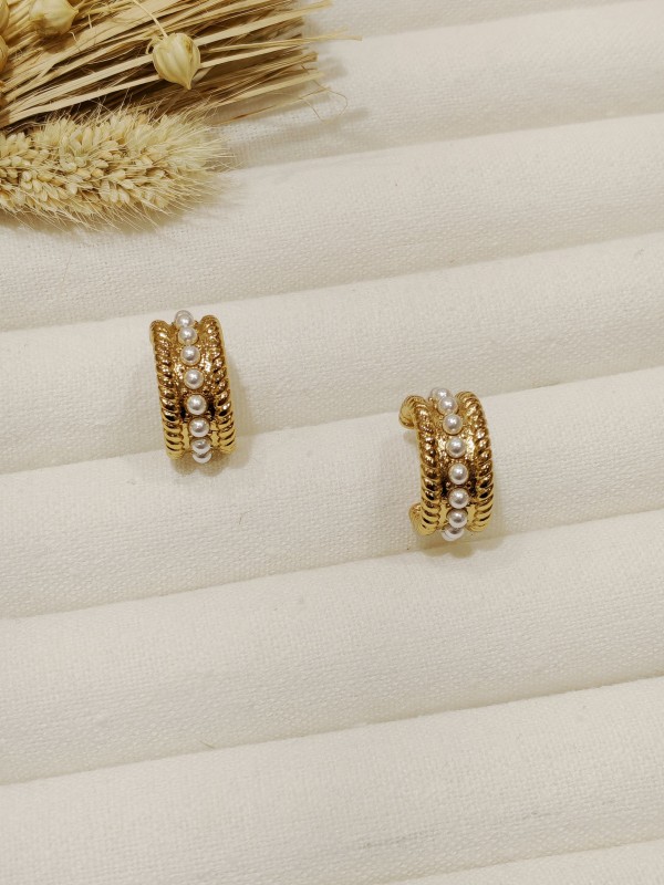 Boucles d'oreilles acier inoxydable E076