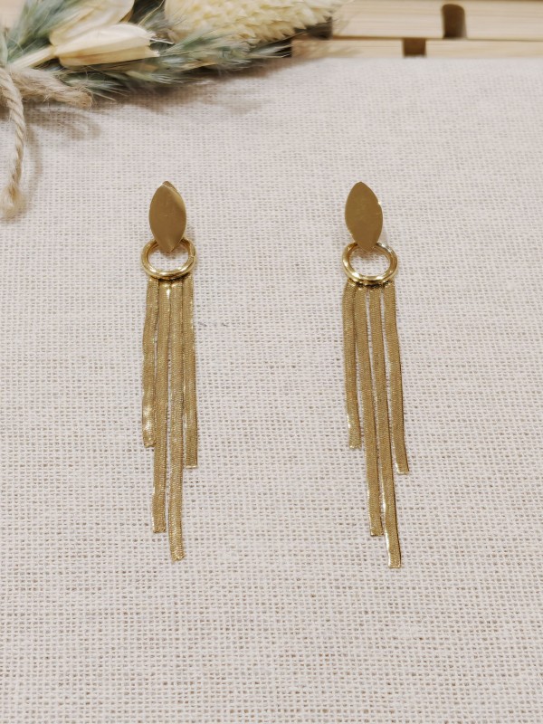 Boucles d'oreilles acier inoxydable E084