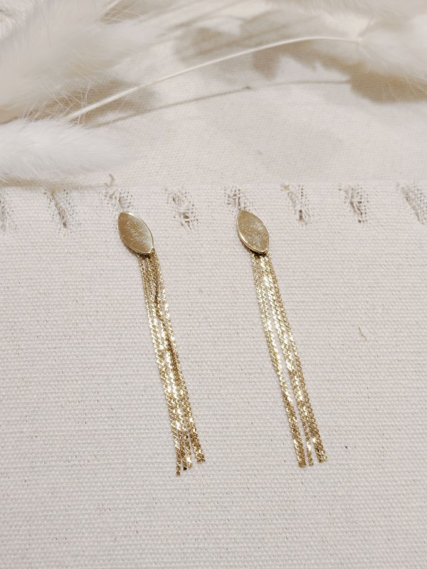 Boucles d'oreilles acier inoxydable E100