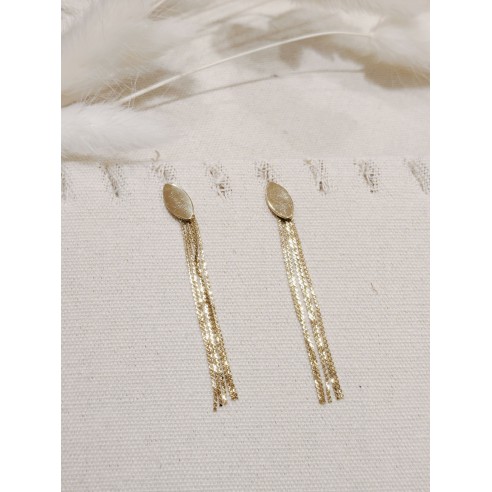 Boucles d'oreilles acier inoxydable E100