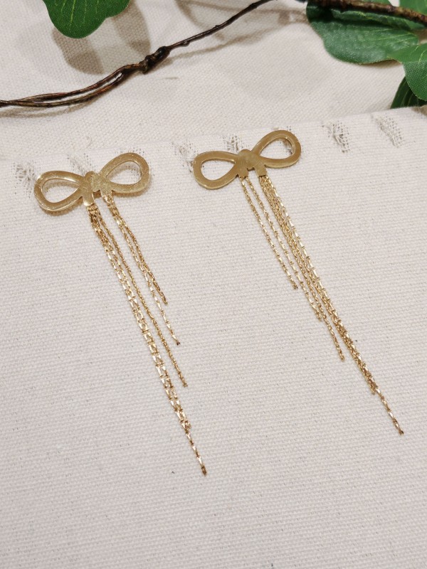 Boucles d'oreilles acier inoxydable E102