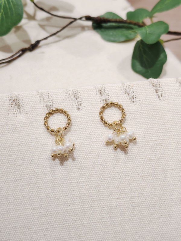 Boucles d'oreilles acier inoxydable E117