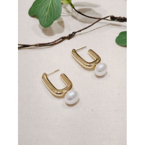 Boucles d'oreilles acier inoxydable E127