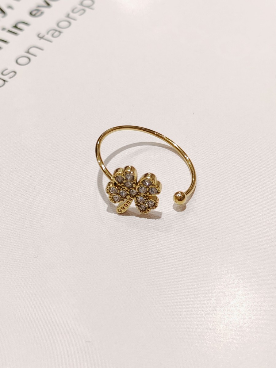 Bague réglable en acier inoxydable R040