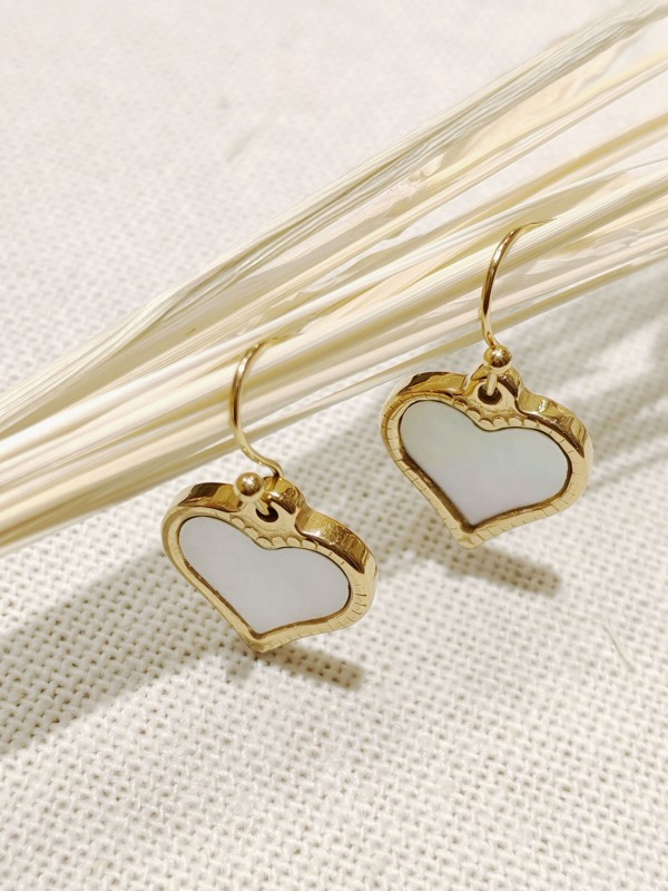 Boucles d'oreilles acier inoxydable E136