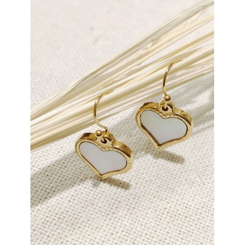 Boucles d'oreilles acier inoxydable E136