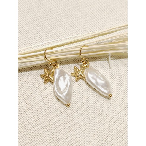Boucles d'oreilles acier inoxydable E139