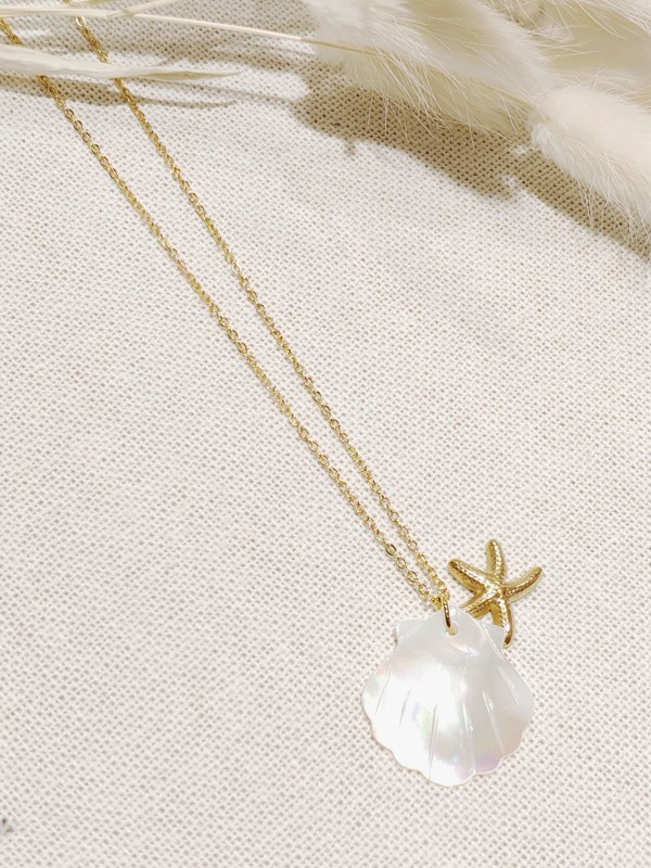 Collier acier inoxydable femme N056