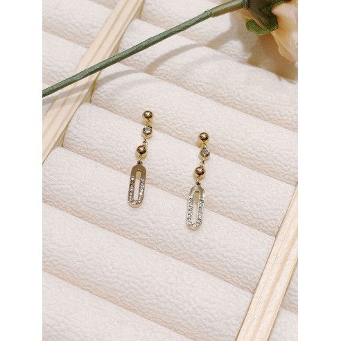Boucles d'oreilles acier inoxydable E141
