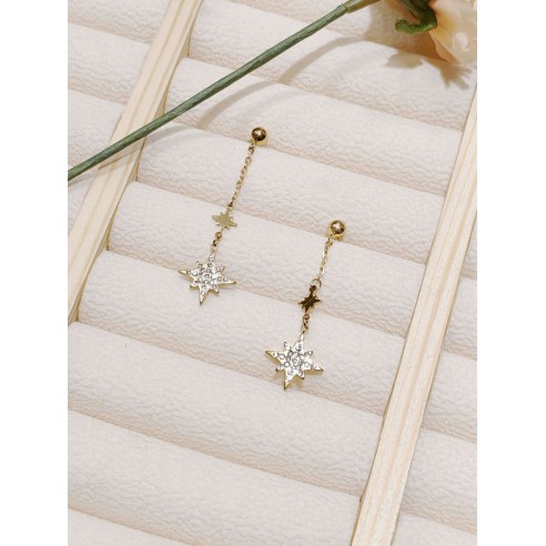 Boucles d'oreilles acier inoxydable E142