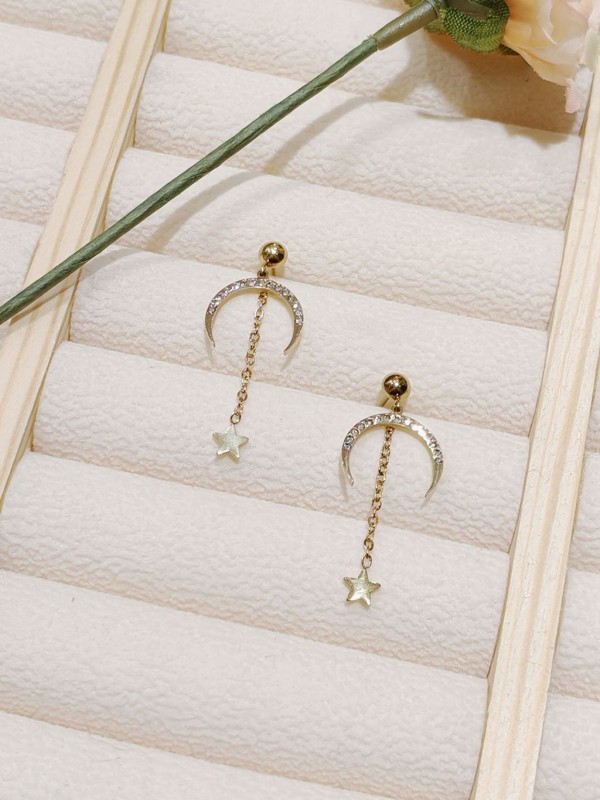 Boucles d'oreilles acier inoxydable E143