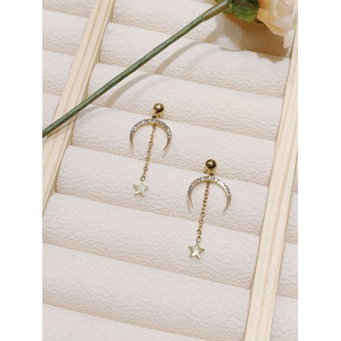 Boucles d'oreilles acier inoxydable E143
