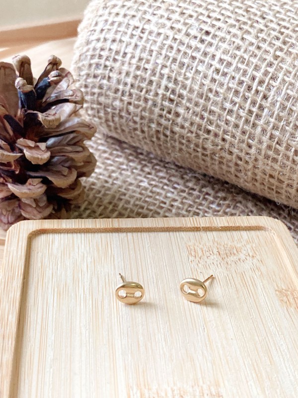 Boucles d'oreilles acier inoxydable E191
