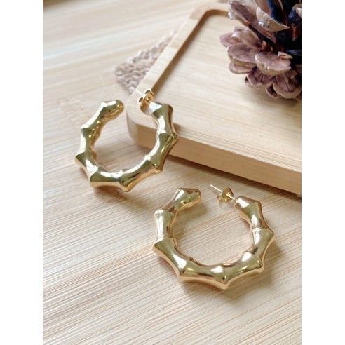 Boucles d'oreilles acier inoxydable E195