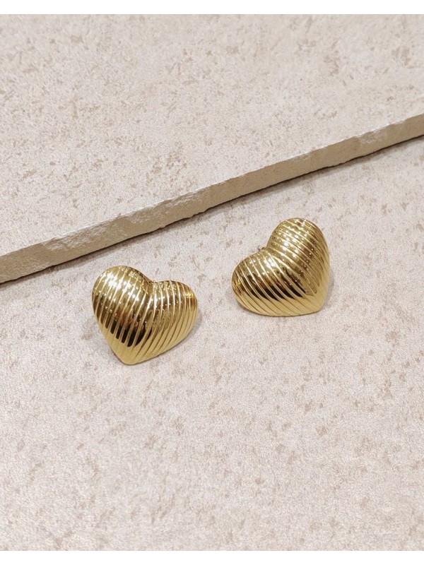 Boucles d'oreilles acier inoxydable E198