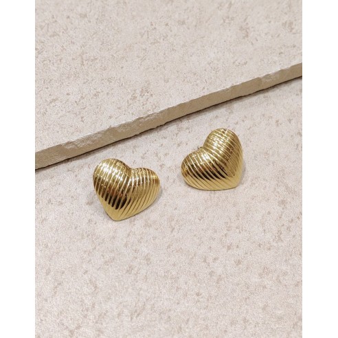 Boucles d'oreilles acier inoxydable E198