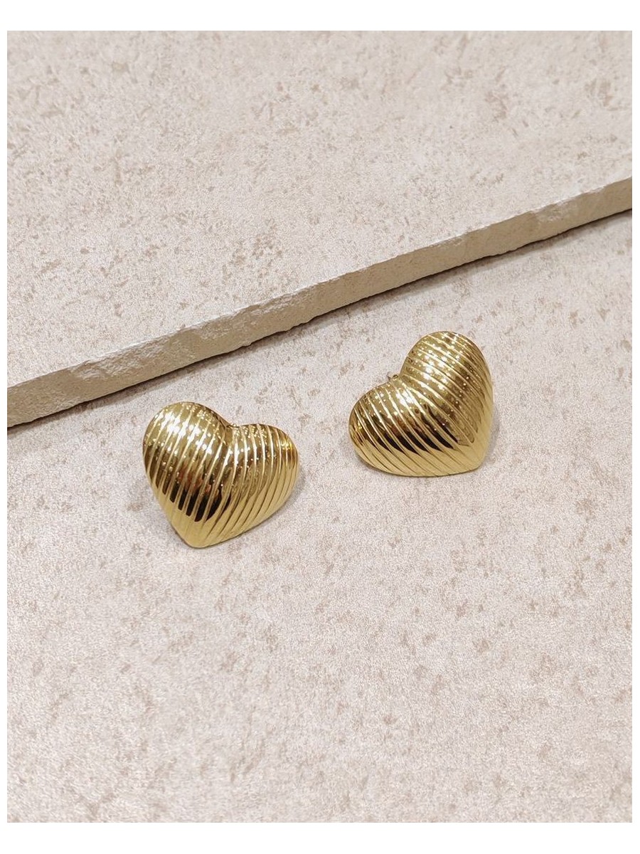 Boucles d'oreilles acier inoxydable E198