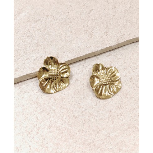 Boucles d'oreilles acier inoxydable E206