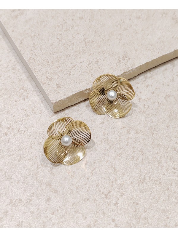 Boucles d'oreilles acier inoxydable E210
