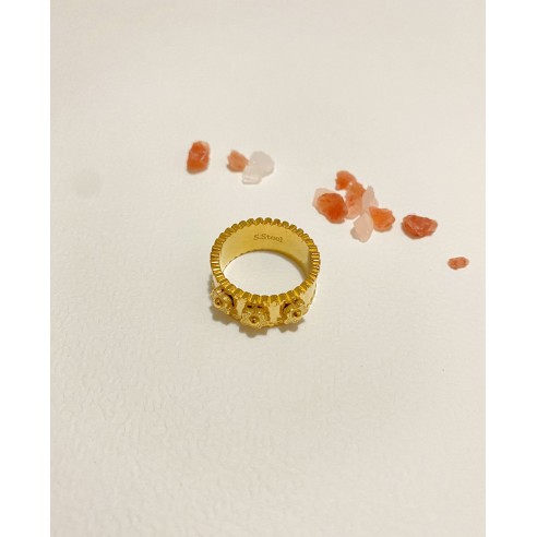 Bague en acier inoxydable R090