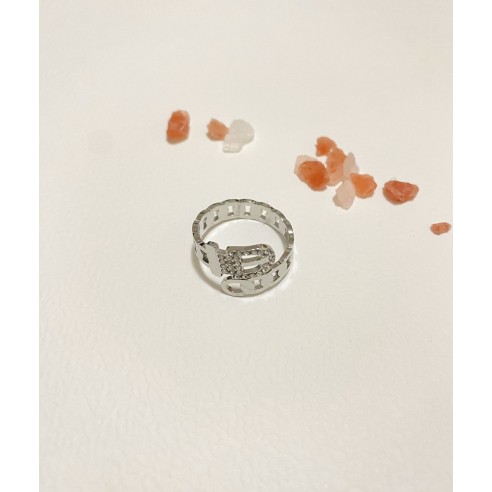 Bague en acier inoxydable R093