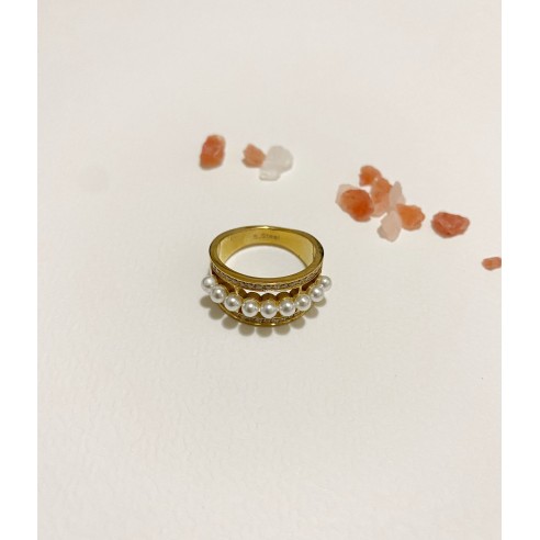 Bague en acier inoxydable R100