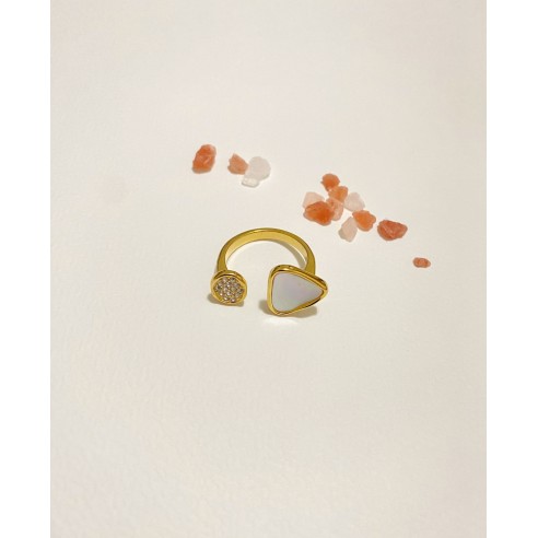 Bague en acier inoxydable R103