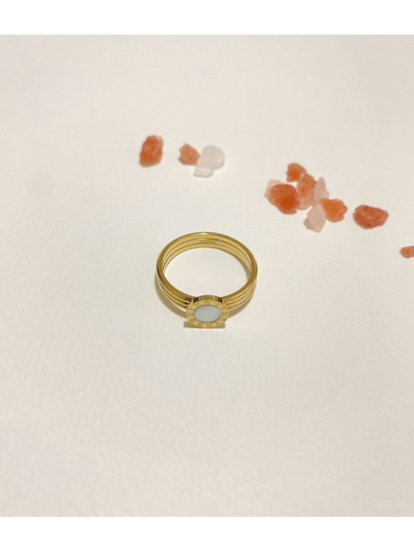 Bague en acier inoxydable R106
