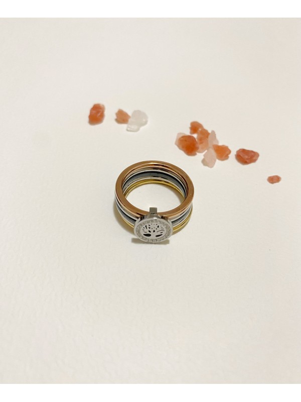 Bague en acier inoxydable R109