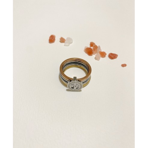 Bague en acier inoxydable R109
