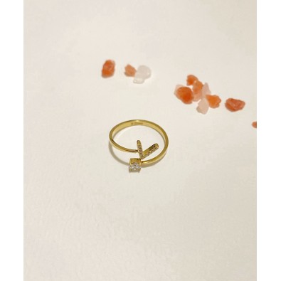 Bague en acier inoxydable R110